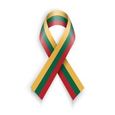 Lithuania Flag N6