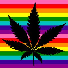 cannabis black N2