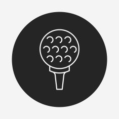 golf line icon N13