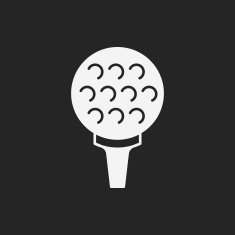 Golf Icon N22