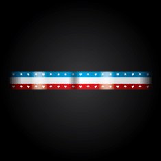 AMERICAN BAGDE AND FLAG N2