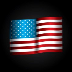 AMERICAN BAGDE AND FLAG N5