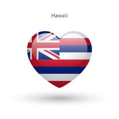Love Hawaii state symbol Heart flag icon