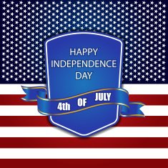 4th Of July American Independence Day Vector Illustration N2