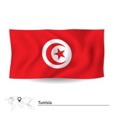 Flag of Tunisia N6