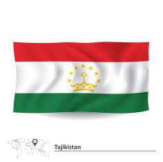Flag of Tajikistan N5