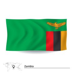 Flag of Zambia N11