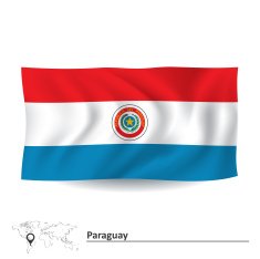 Flag of Paraguay N4