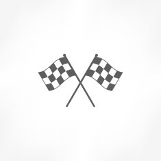 Racing Flag Icon N10