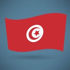 Tunisian flag icon