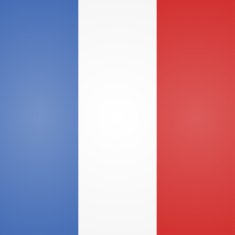 France Flag N9