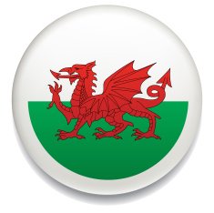 Welsh flag button