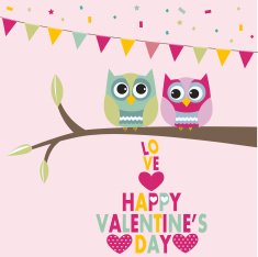 Valentine's Day N50