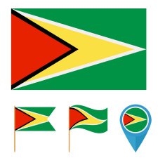 Guyana country flag