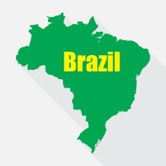 Flag of Brazil in a flat vector illustration