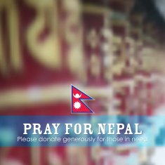 Nepal earthquake 2015 help