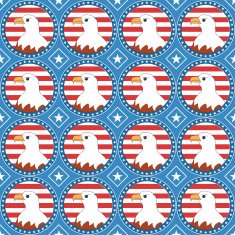 USA theme pattern