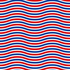 American seamless pattern N2
