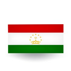 Flag of Tajikistan N6