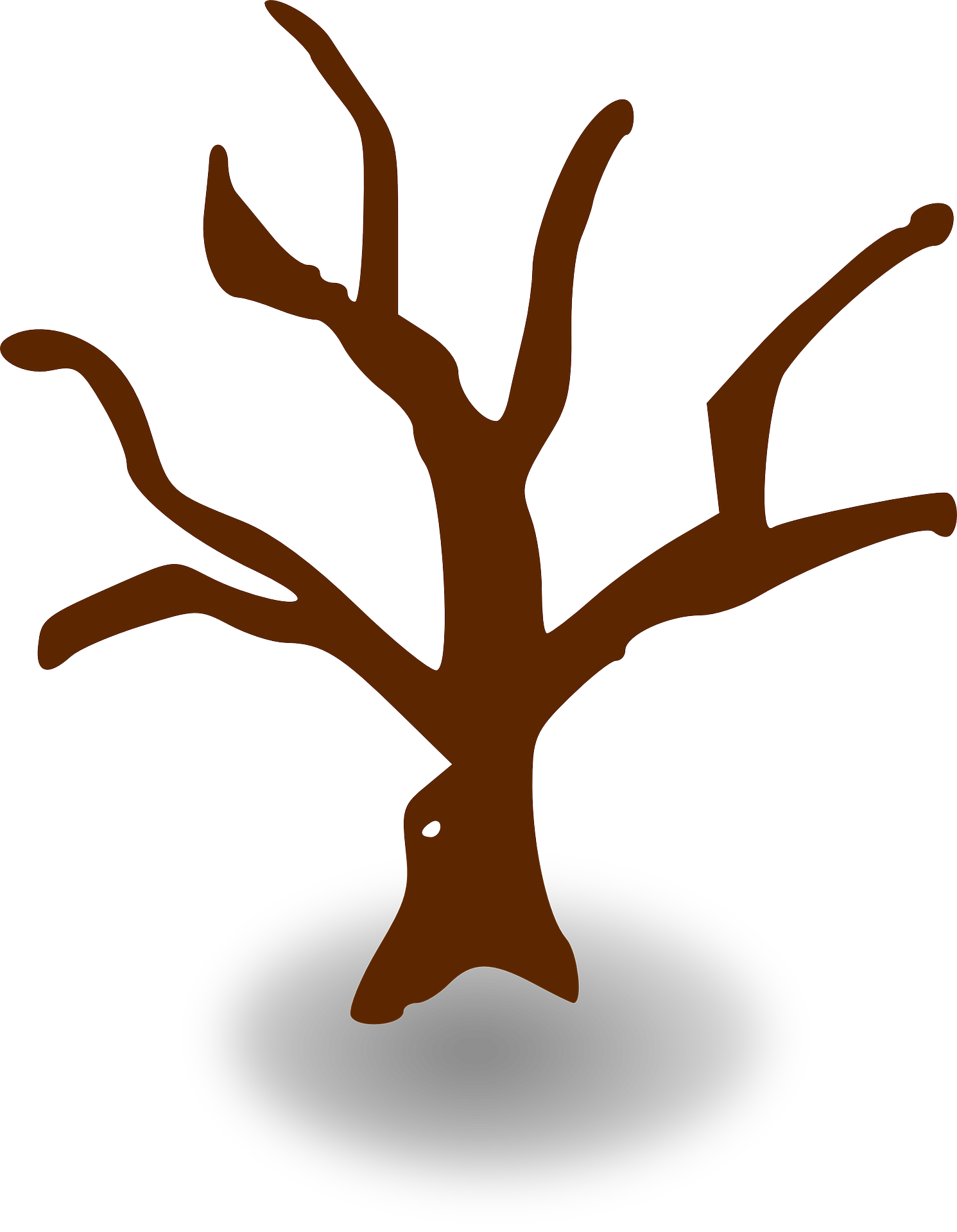 Сайт tree. Ствол дерева для генеалогического дерева. Ствол дерева иконка. Дерево без листьев картинка для детей на прозрачном фоне. Дерево без листьев вид сверху.