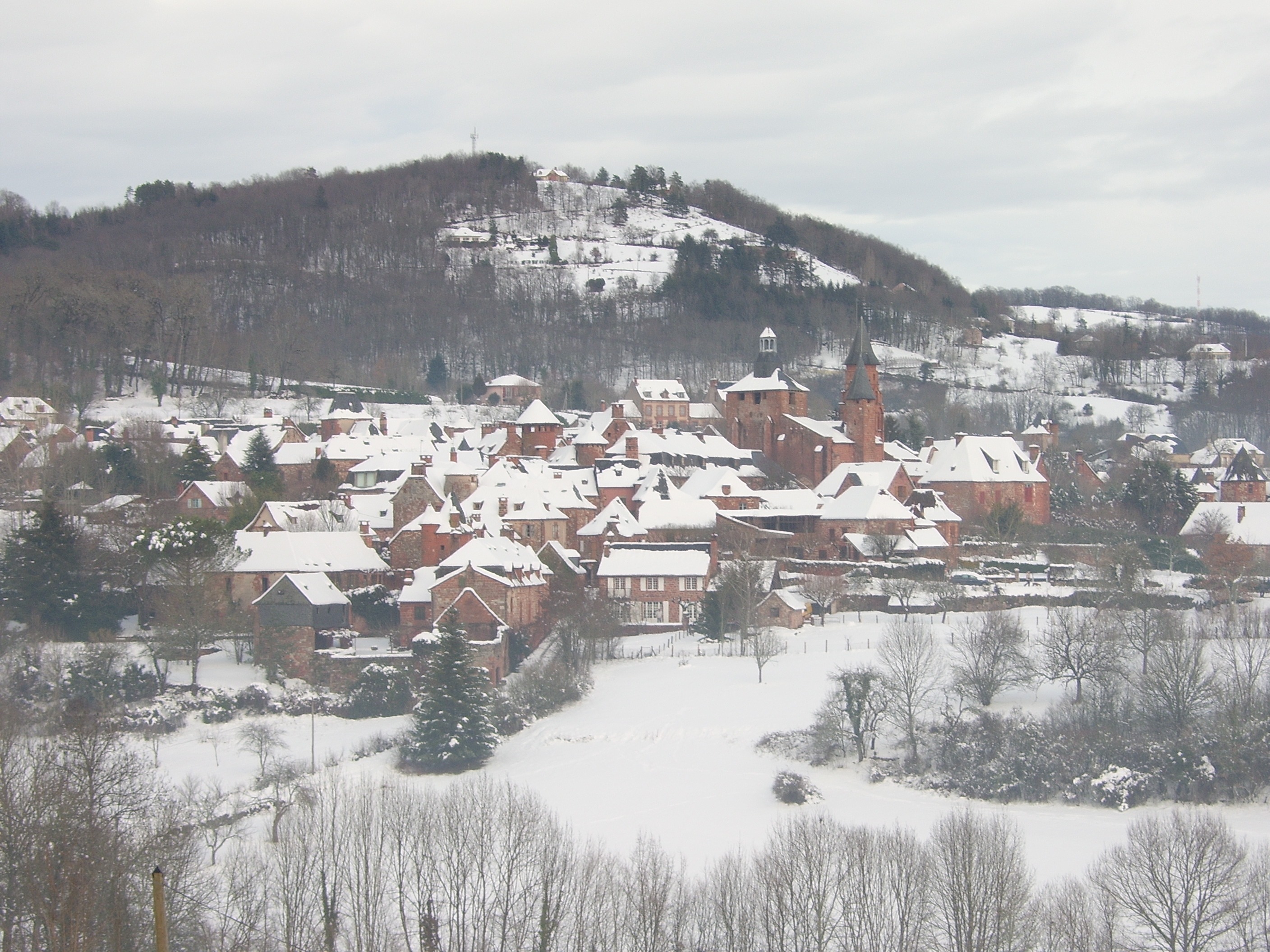 What is the title of this picture ? Winter village in snow panorama free image