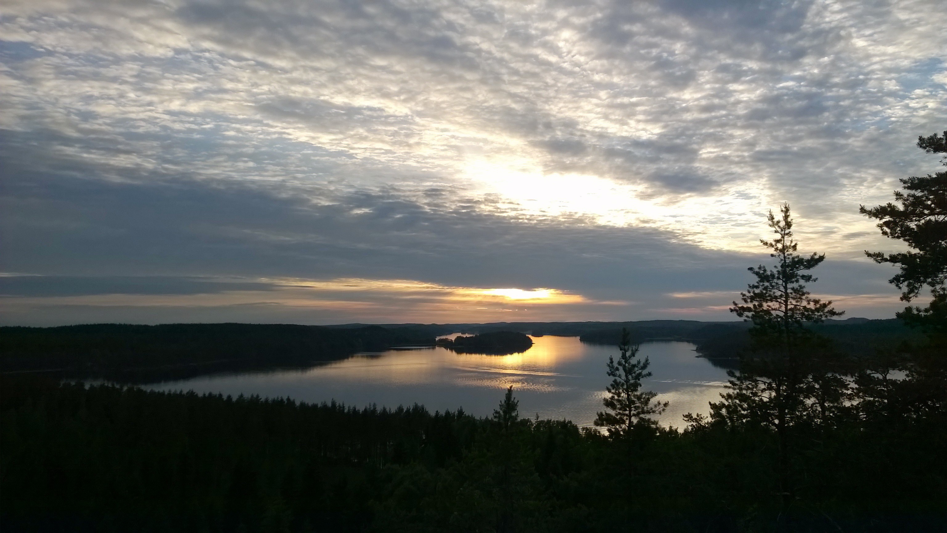 Beautiful panorama with the colorful sunset over the lake with plants ...