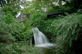 waterfall in wild Green Forest