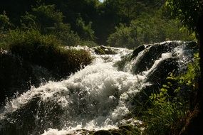 rapids of the wild river in Croatia