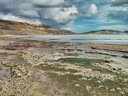 cliffs on the coast of Lyme Regis