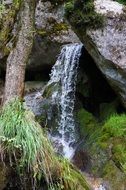 small waterfall in the green forest