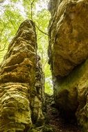 passage between the rocks in the forest
