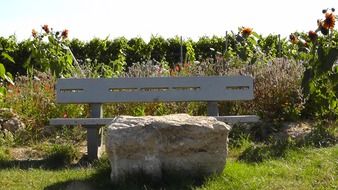 stone near a wooden bench for relaxation