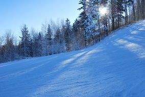 Beautiful white snowy mountains with plants in winter