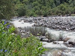 water river stream