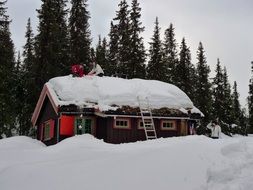 Cottage roof covered with snow