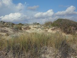 empty dune landscape