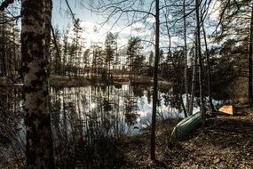 forest reflection on the lake