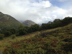green mountain side at scenic landscape