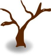 Brown tree as a clipart