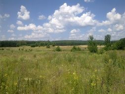 cloudy blue sky and green field with trees in the village