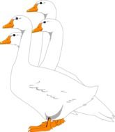 Colorful drawing of the geese clipart