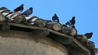 blue on the wooden roof
