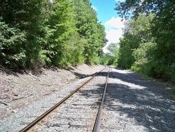 Rails among the beautiful green forest