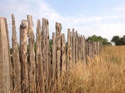 wooden fence in the field with dry grass