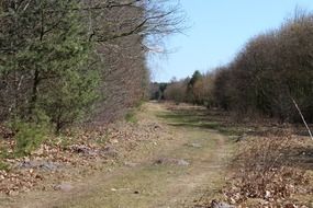 autumn landscape of country road