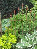 sculpture among green plants