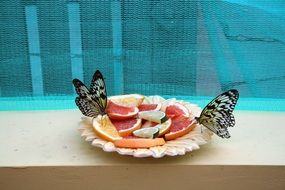 butterfly on the fruit plate