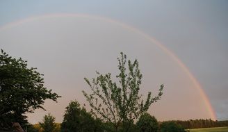 incomparable rainbow nature