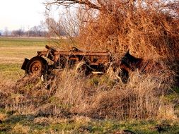 old rusty car in dry grass