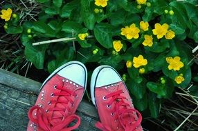 flowers yellow shoes